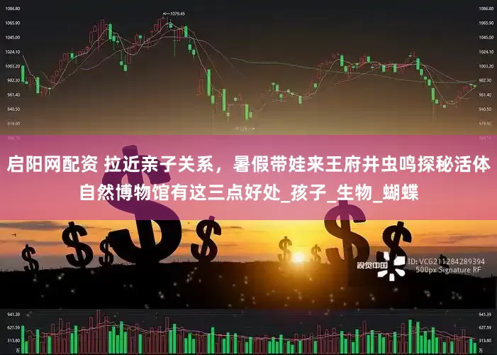 启阳网配资 拉近亲子关系，暑假带娃来王府井虫鸣探秘活体自然博物馆有这三点好处_孩子_生物_蝴蝶