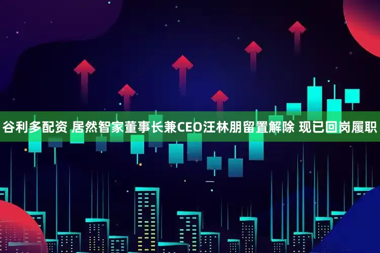 谷利多配资 居然智家董事长兼CEO汪林朋留置解除 现已回岗履职
